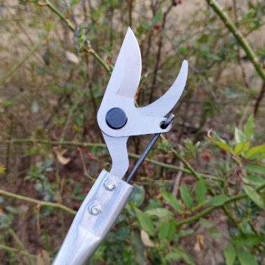 : Long reach tree pruning shears for high branch cutting in orchards