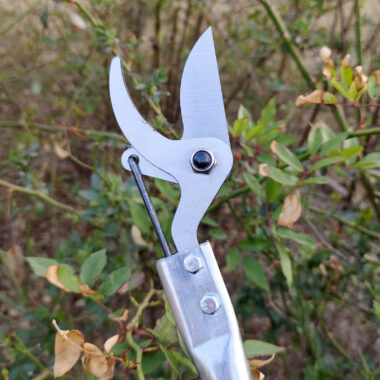 : Long reach tree pruning shears for high branch cutting in orchards