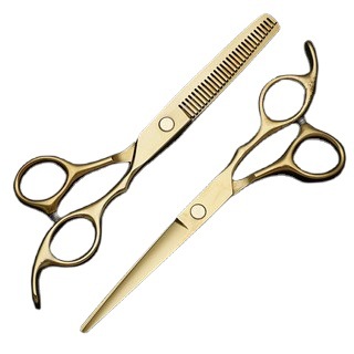 6-Inch Black Hair Scissor Set for Salon and Home Use