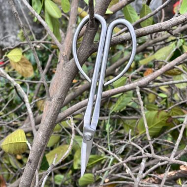 All-Steel Garden Scissors for Bonsai and Floral Pruning