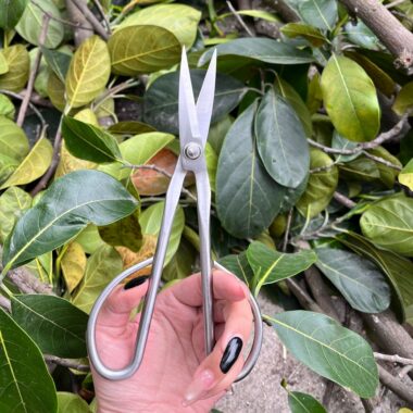 All-Steel Garden Scissors for Bonsai and Floral Pruning
