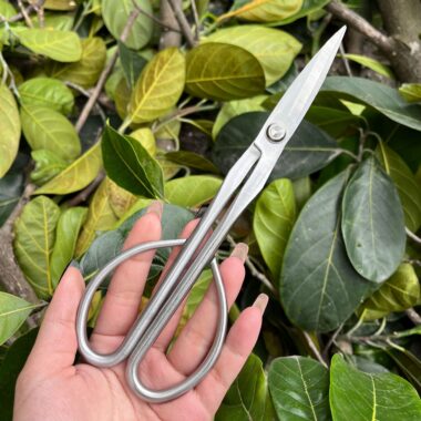All-Steel Garden Scissors for Bonsai and Floral Pruning