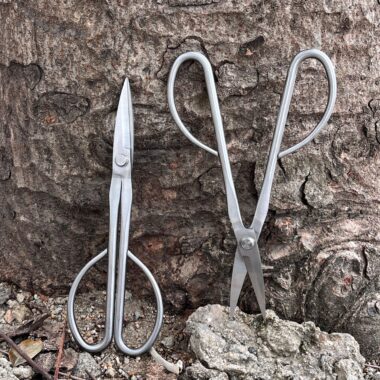 All-Steel Garden Scissors for Bonsai and Floral Pruning