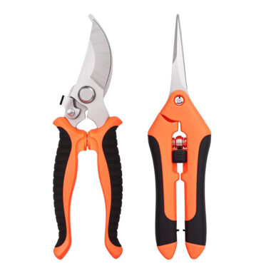 Stainless steel pruning shears set for fruit trees and vineyards