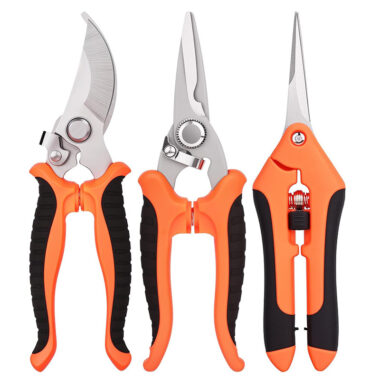 Stainless steel pruning shears set for fruit trees and vineyards