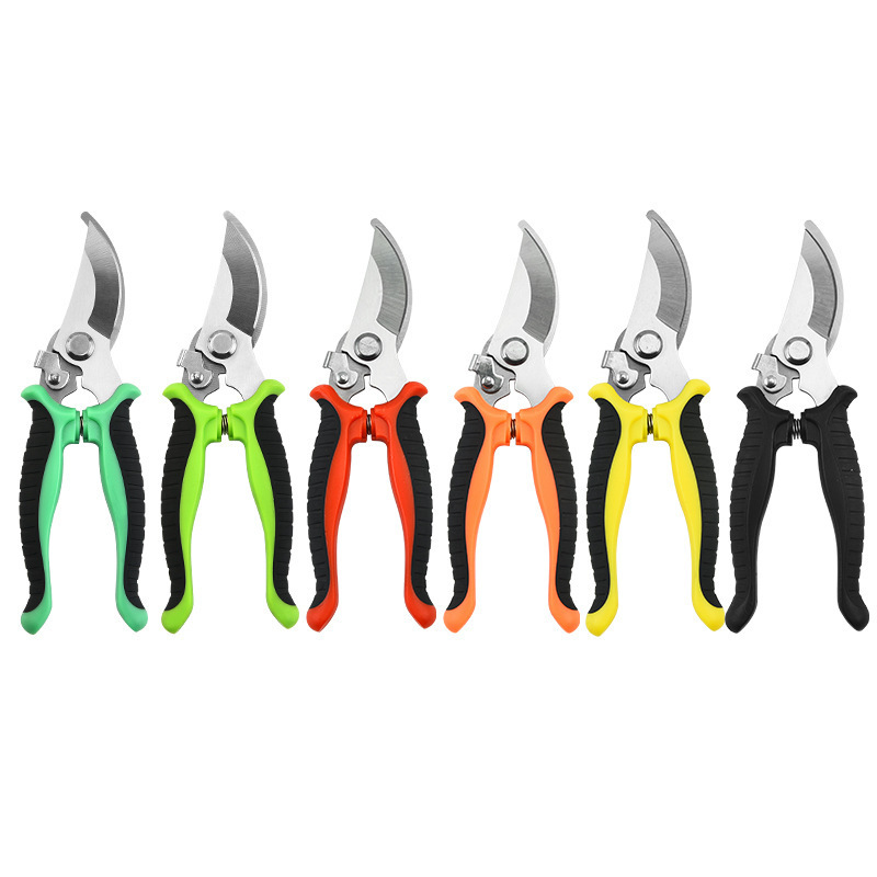 Stainless steel pruning shears set for fruit trees and vineyards