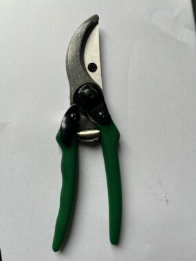 High quality garden pruning shears for branch and fruit trimming 