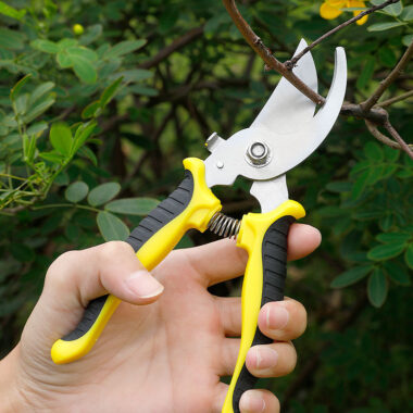  Heavy-Duty Garden Scissors for Tree Branch and Shrub Pruning