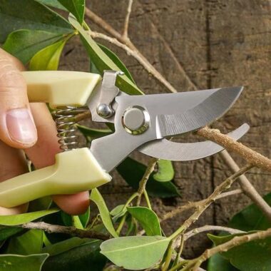 Heavy Duty Stainless Steel Garden Scissors for Pruning 