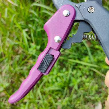  SK5 Garden Pruning Scissors for Fruit Trees and Orchard Use