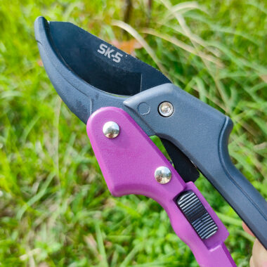  SK5 Garden Pruning Scissors for Fruit Trees and Orchard Use