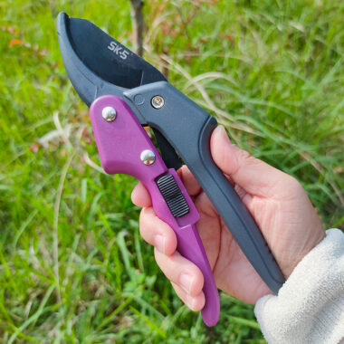  SK5 Garden Pruning Scissors for Fruit Trees and Orchard Use
