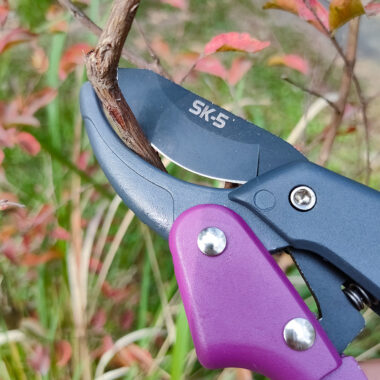  SK5 Garden Pruning Scissors for Fruit Trees and Orchard Use