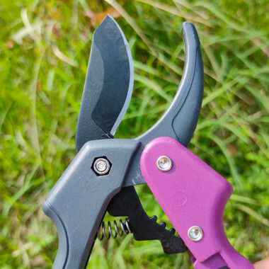  SK5 Garden Pruning Scissors for Fruit Trees and Orchard Use