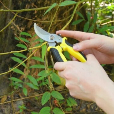 Bent head pruning shears for bonsai, flower, and thick branch cutting