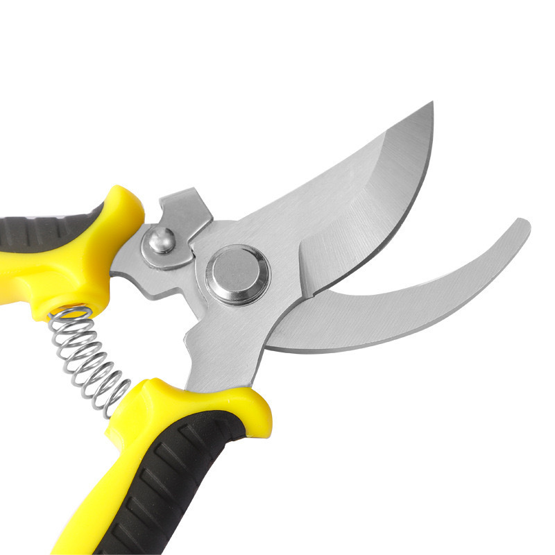 Stainless Steel Garden Pruning Scissors for Branches and Flowers