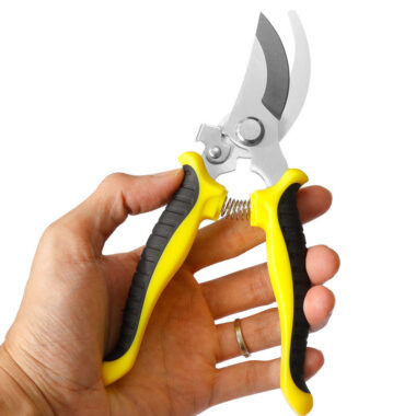 Stainless Steel Garden Pruning Scissors for Branches and Flowers